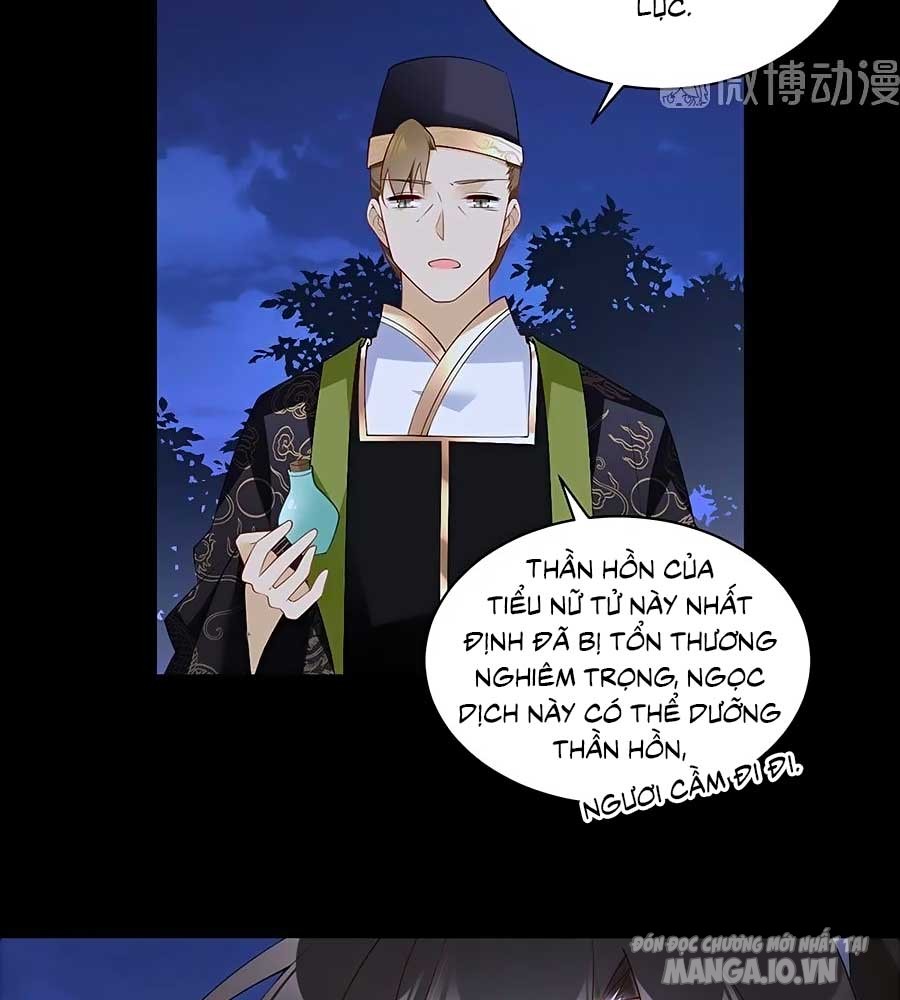 Manh Sư Tại Thượng Chapter 218 - Trang 2