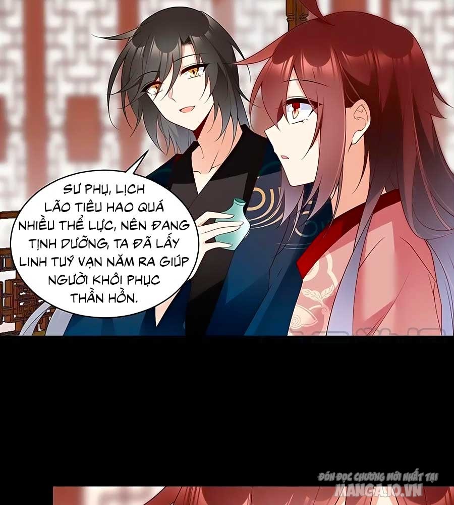 Manh Sư Tại Thượng Chapter 218 - Trang 2