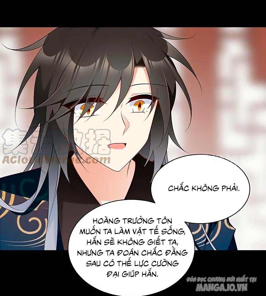 Manh Sư Tại Thượng Chapter 218 - Trang 2