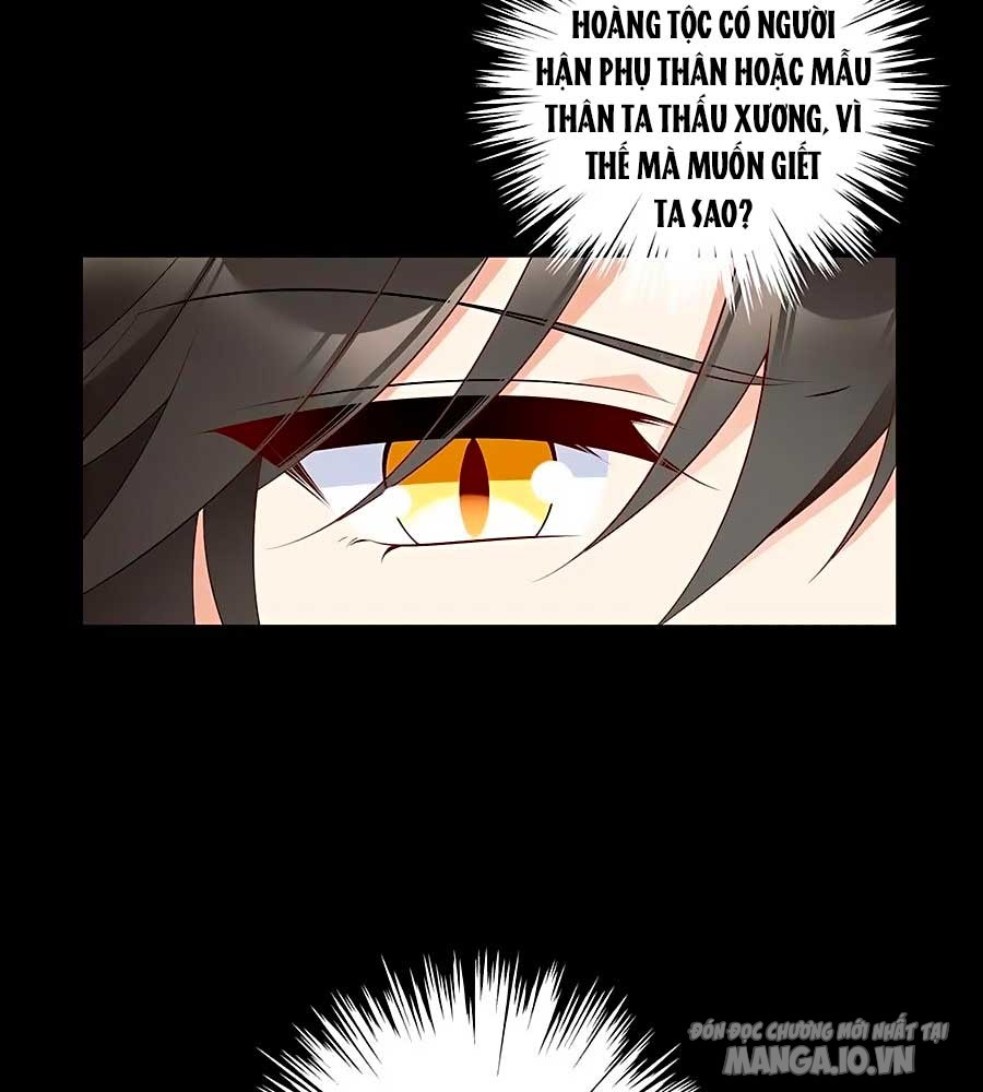 Manh Sư Tại Thượng Chapter 218 - Trang 2