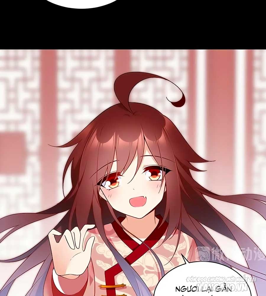 Manh Sư Tại Thượng Chapter 218 - Trang 2