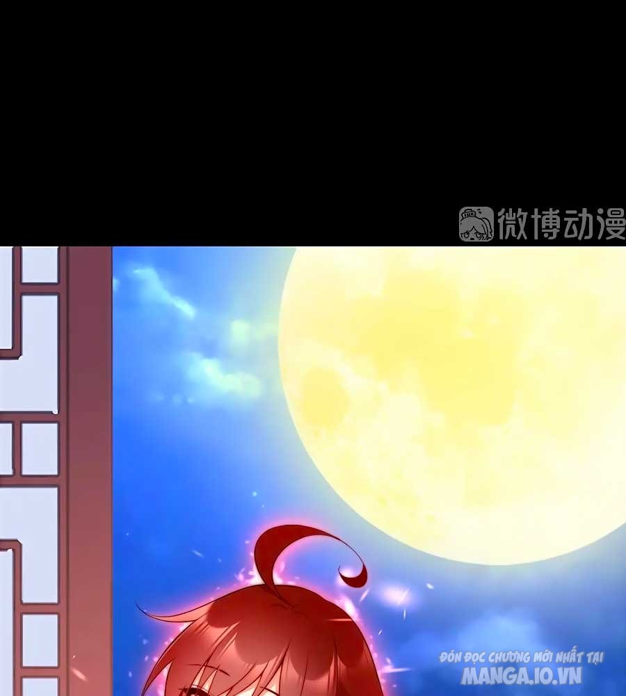 Manh Sư Tại Thượng Chapter 218 - Trang 2