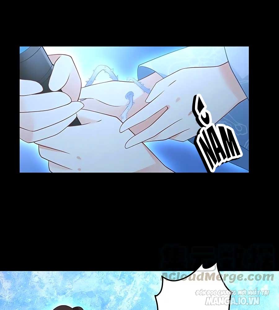 Manh Sư Tại Thượng Chapter 218 - Trang 2