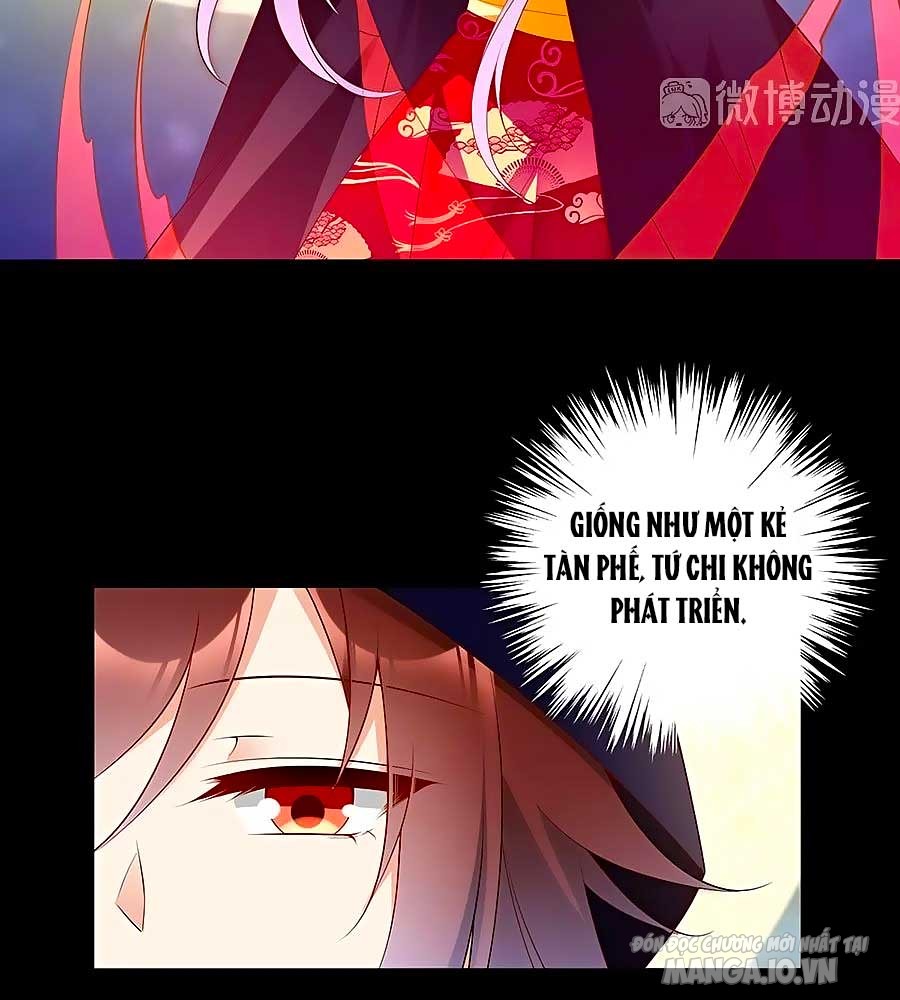 Manh Sư Tại Thượng Chapter 219 - Trang 2