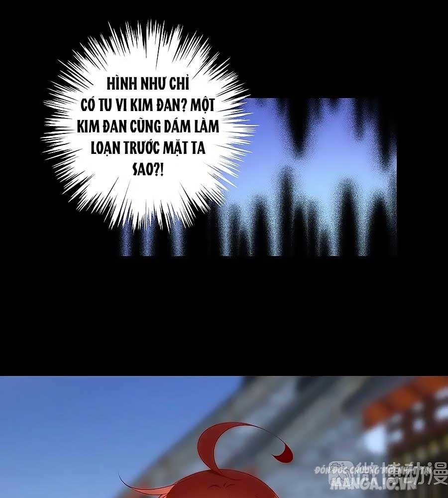 Manh Sư Tại Thượng Chapter 219 - Trang 2