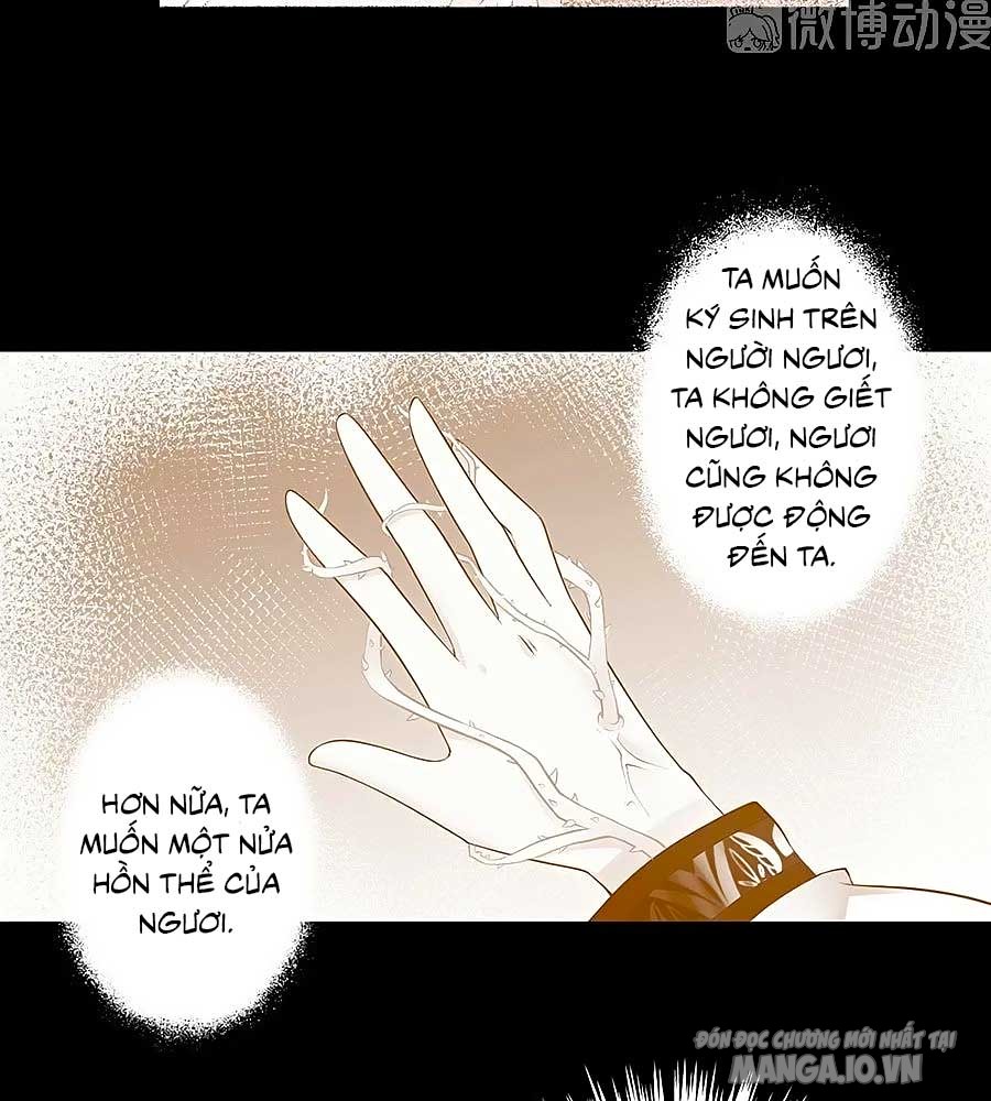 Manh Sư Tại Thượng Chapter 219 - Trang 2