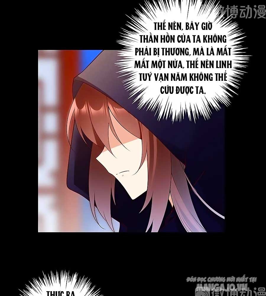 Manh Sư Tại Thượng Chapter 219 - Trang 2