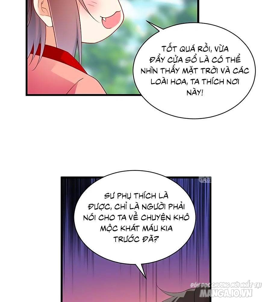 Manh Sư Tại Thượng Chapter 221 - Trang 2