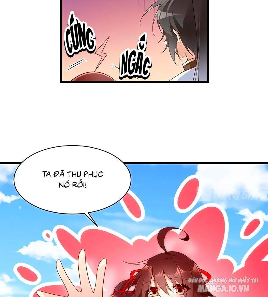 Manh Sư Tại Thượng Chapter 221 - Trang 2