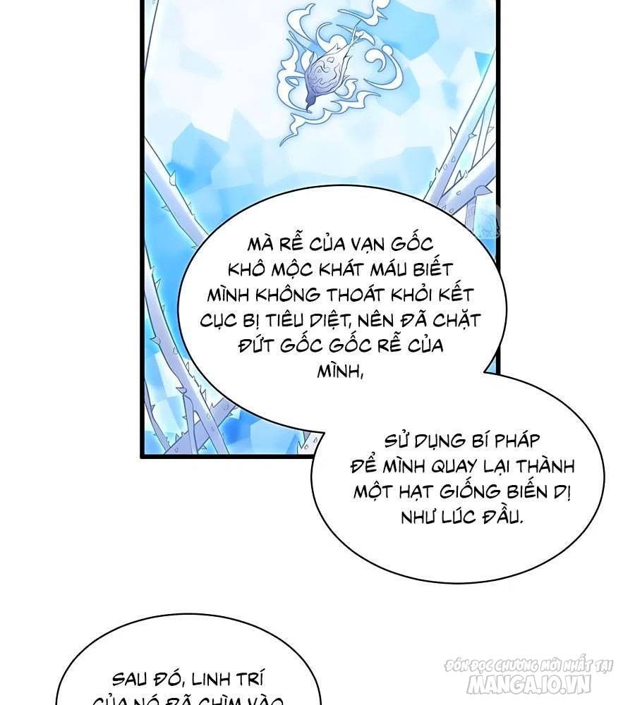 Manh Sư Tại Thượng Chapter 221 - Trang 2