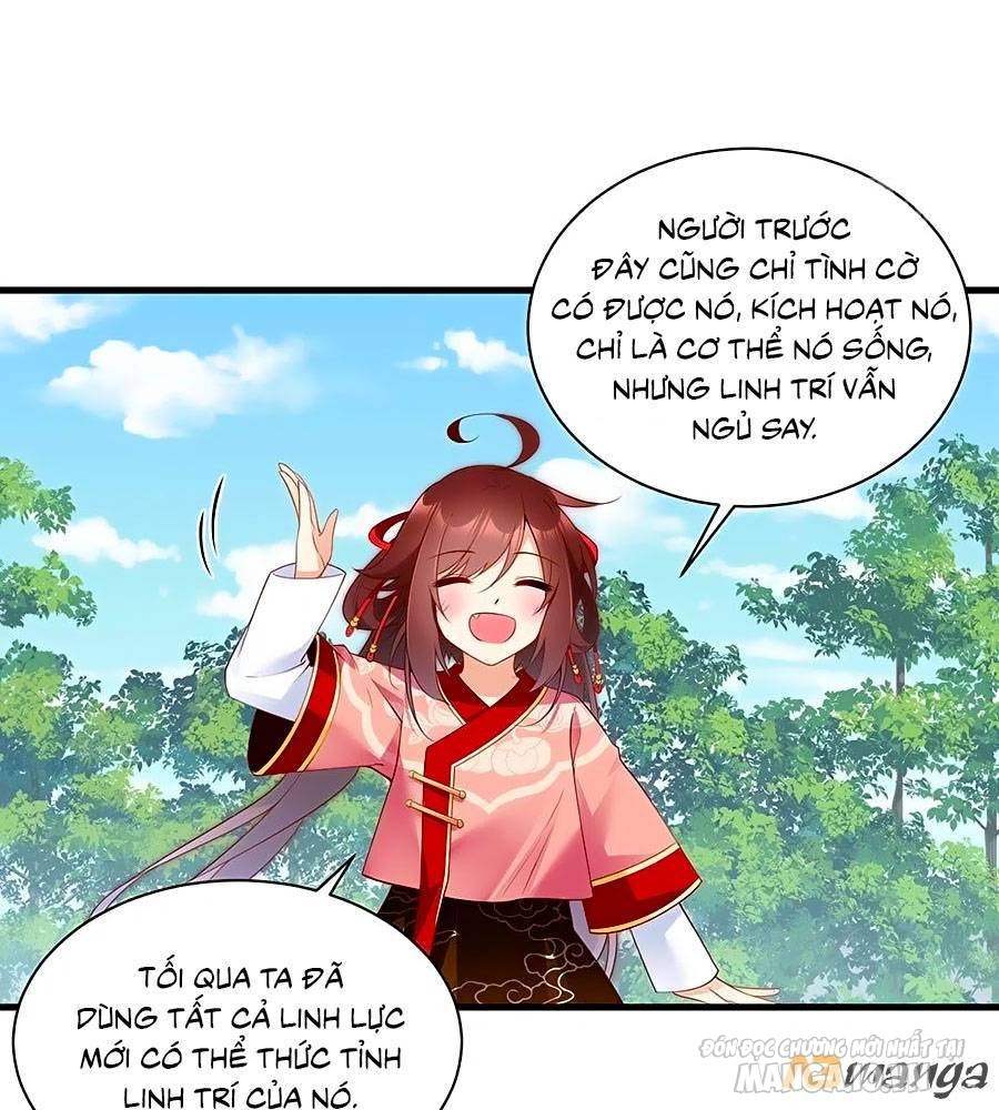 Manh Sư Tại Thượng Chapter 221 - Trang 2