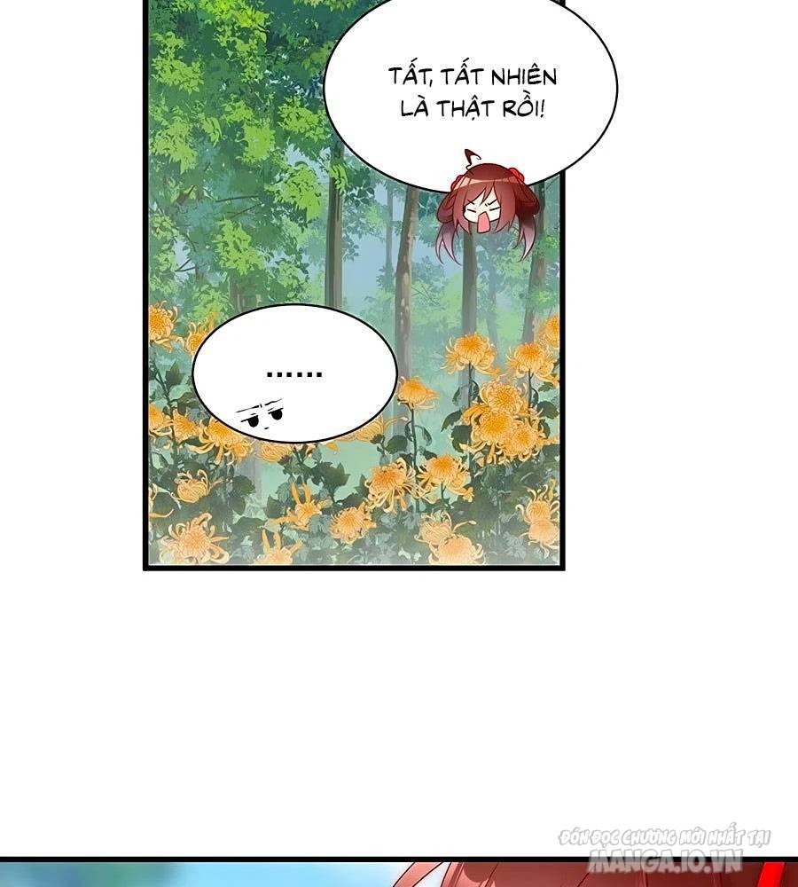 Manh Sư Tại Thượng Chapter 221 - Trang 2