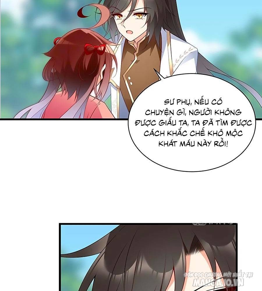 Manh Sư Tại Thượng Chapter 221 - Trang 2