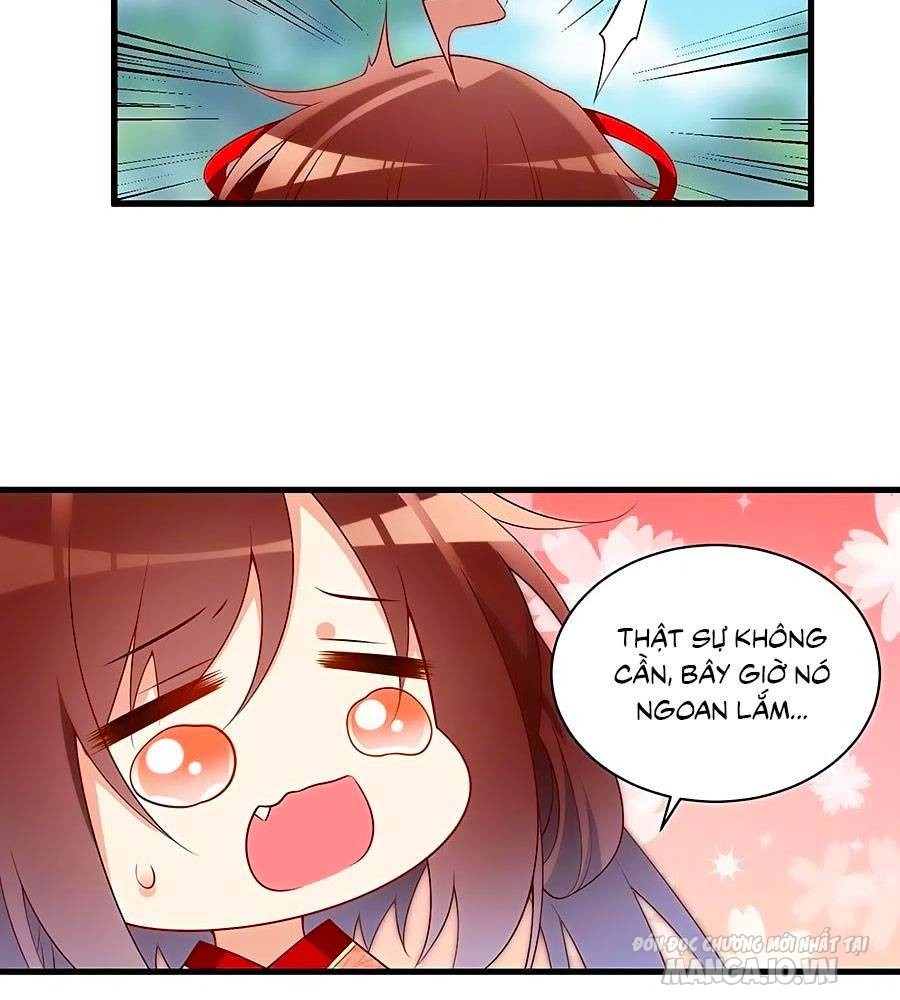 Manh Sư Tại Thượng Chapter 221 - Trang 2