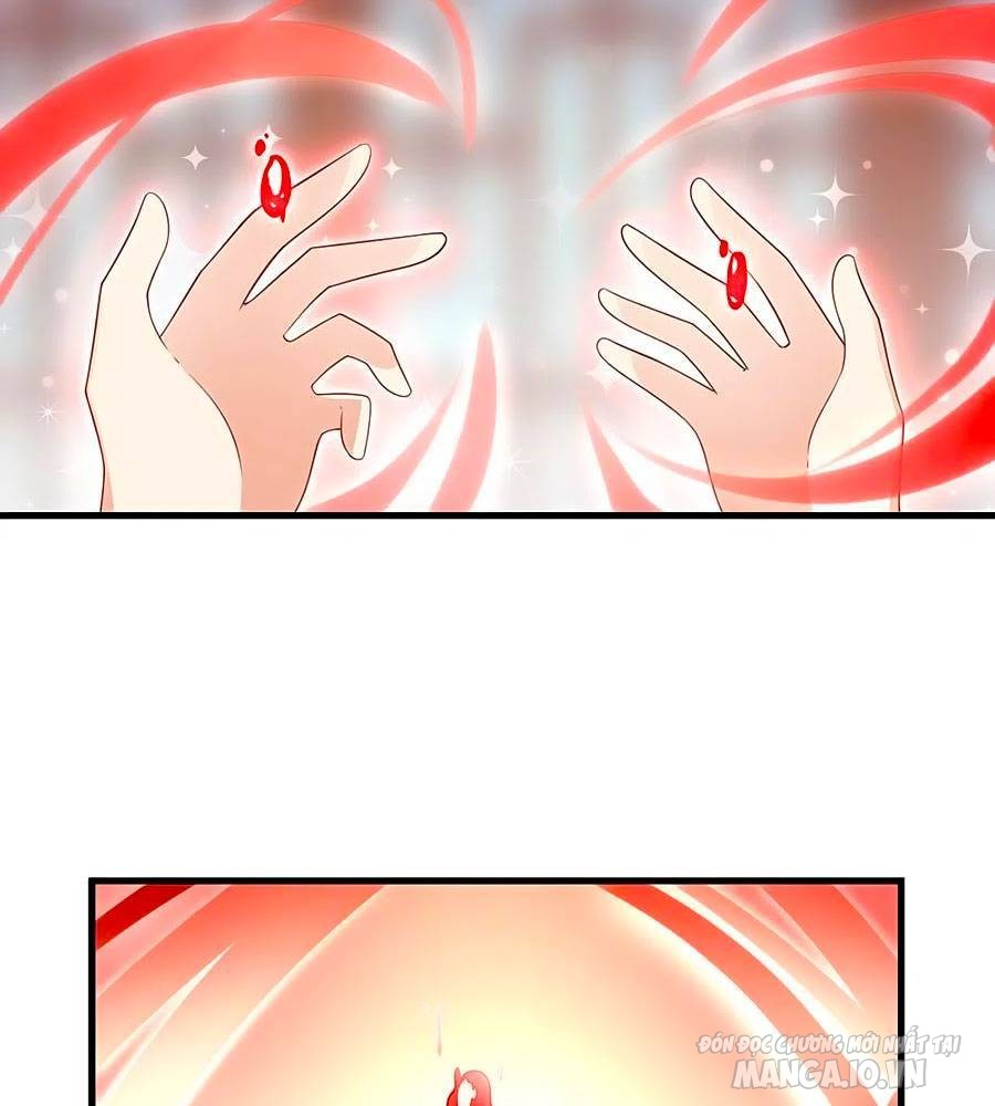 Manh Sư Tại Thượng Chapter 221 - Trang 2