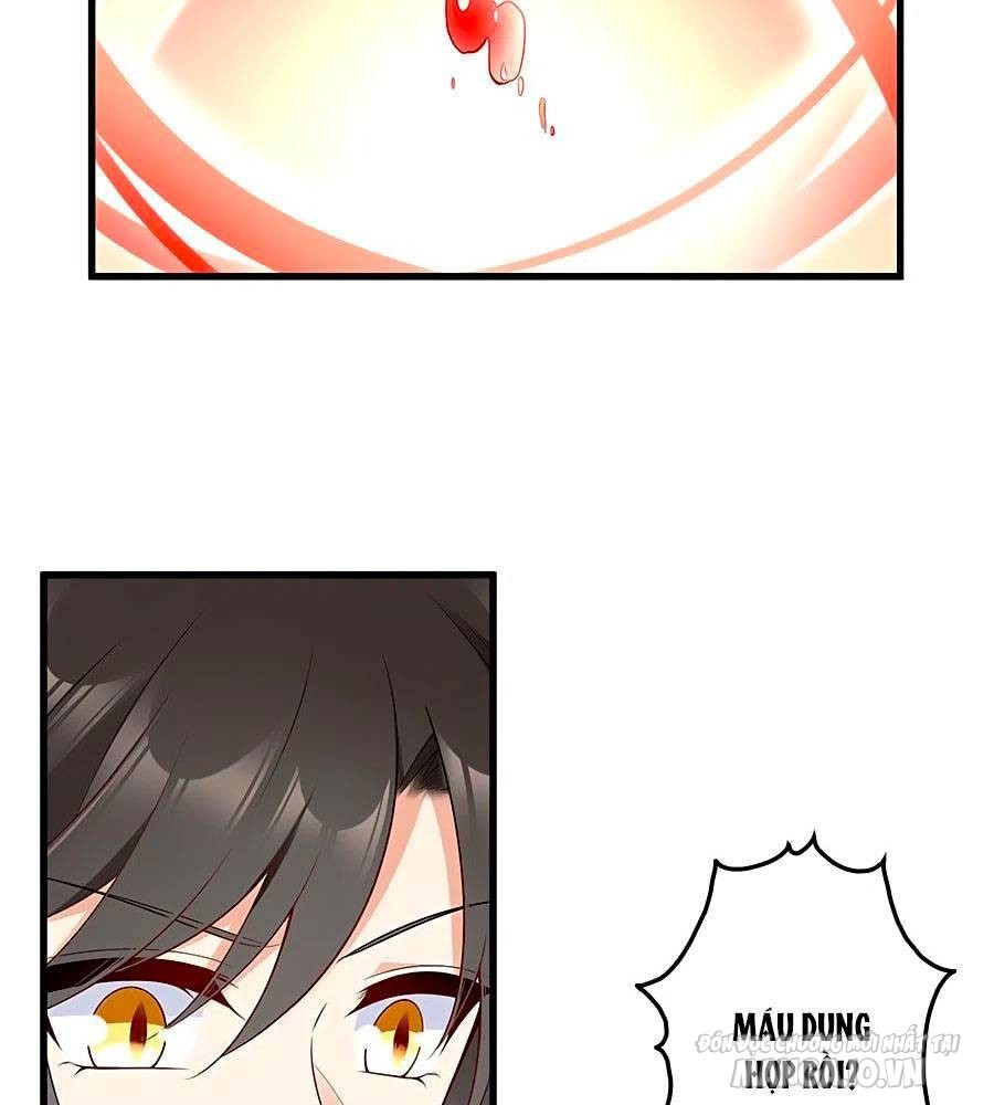 Manh Sư Tại Thượng Chapter 221 - Trang 2