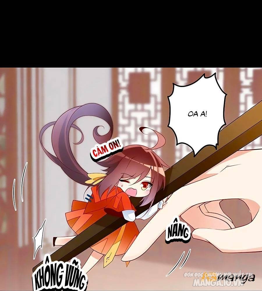 Manh Sư Tại Thượng Chapter 223 - Trang 2