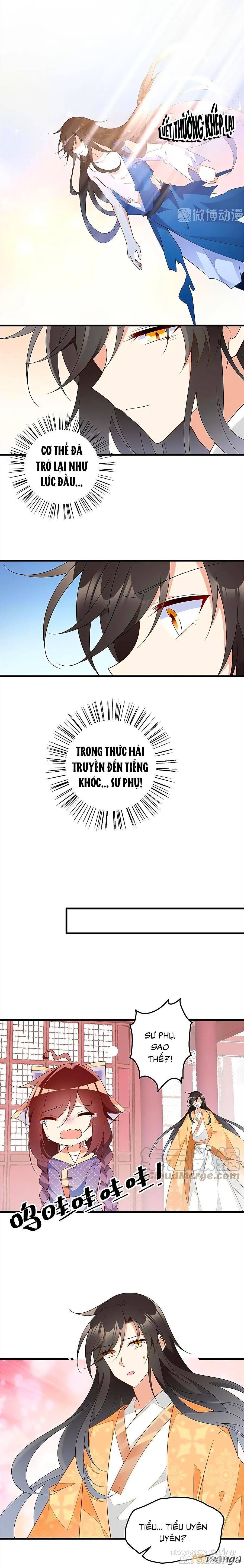 Manh Sư Tại Thượng Chapter 254 - Trang 2