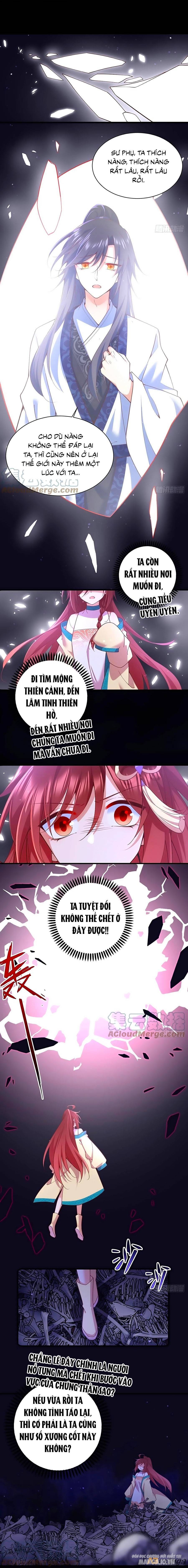 Manh Sư Tại Thượng Chapter 323 - Trang 2