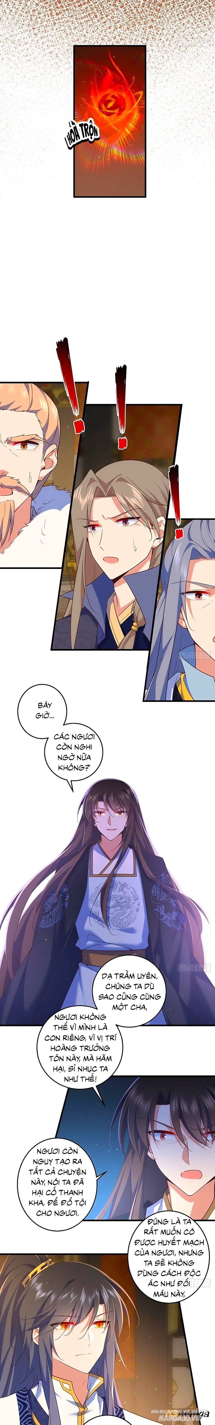 Manh Sư Tại Thượng Chapter 338 - Trang 2