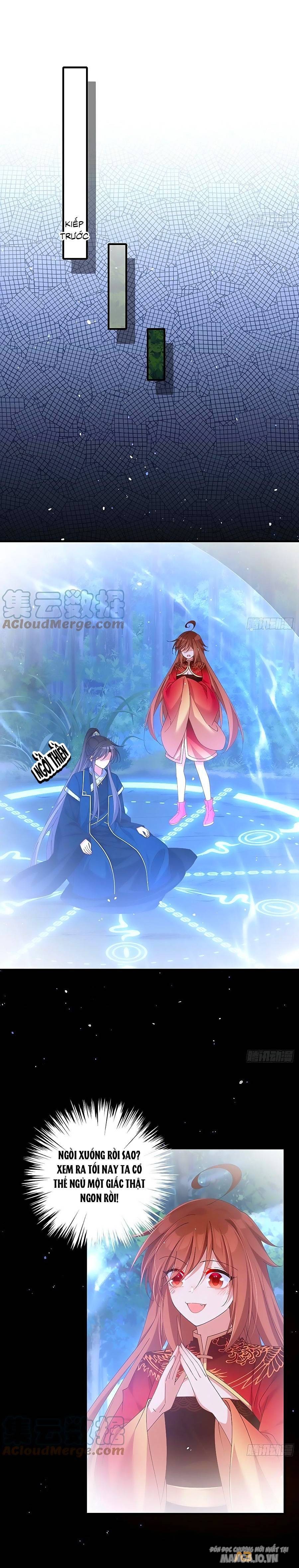 Manh Sư Tại Thượng Chapter 392 - Trang 2