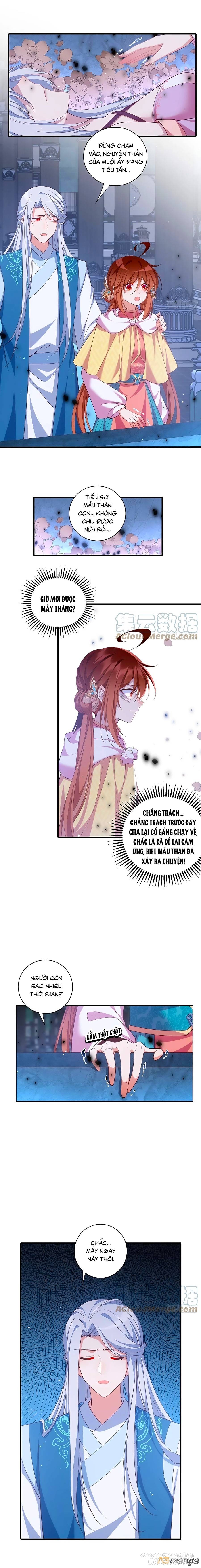 Manh Sư Tại Thượng Chapter 406 - Trang 2