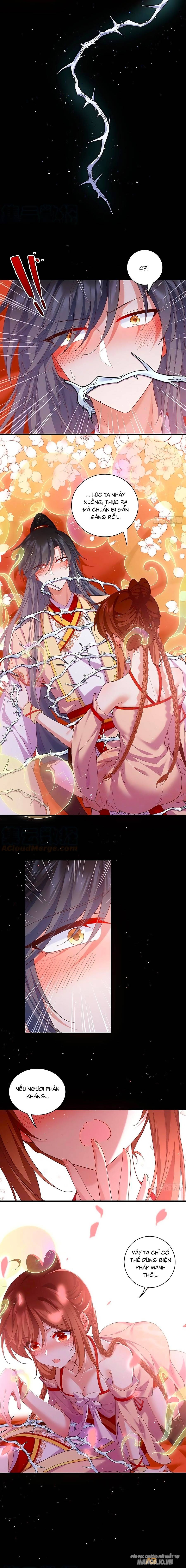 Manh Sư Tại Thượng Chapter 429 - Trang 2