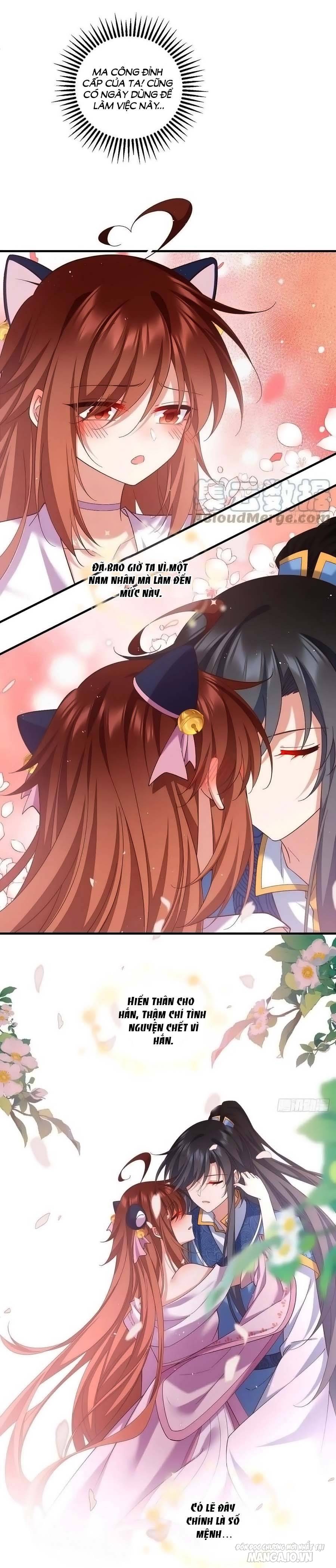 Manh Sư Tại Thượng Chapter 431 - Trang 2