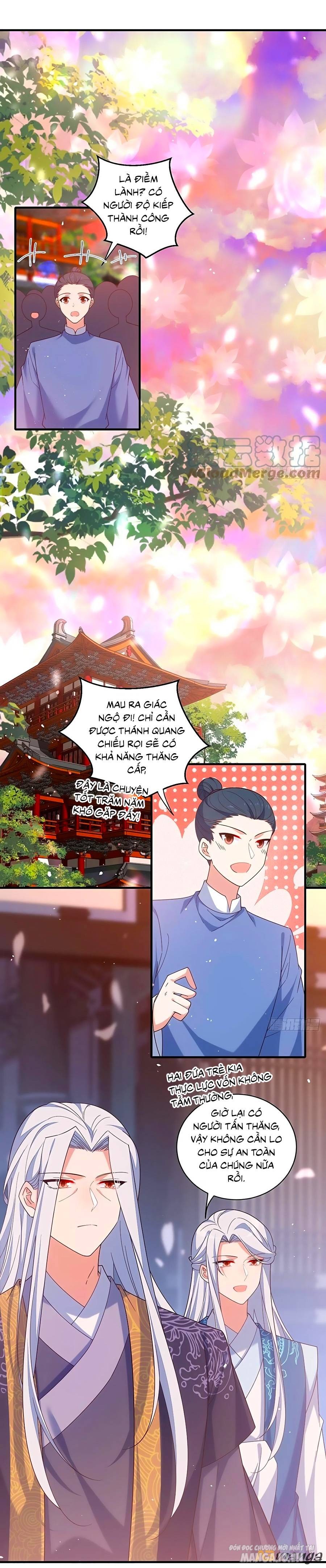 Manh Sư Tại Thượng Chapter 433 - Trang 2