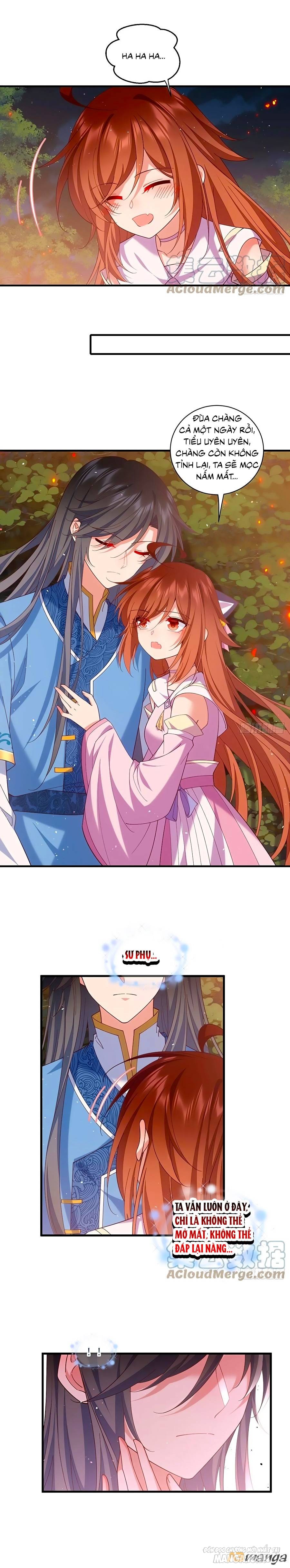 Manh Sư Tại Thượng Chapter 433 - Trang 2