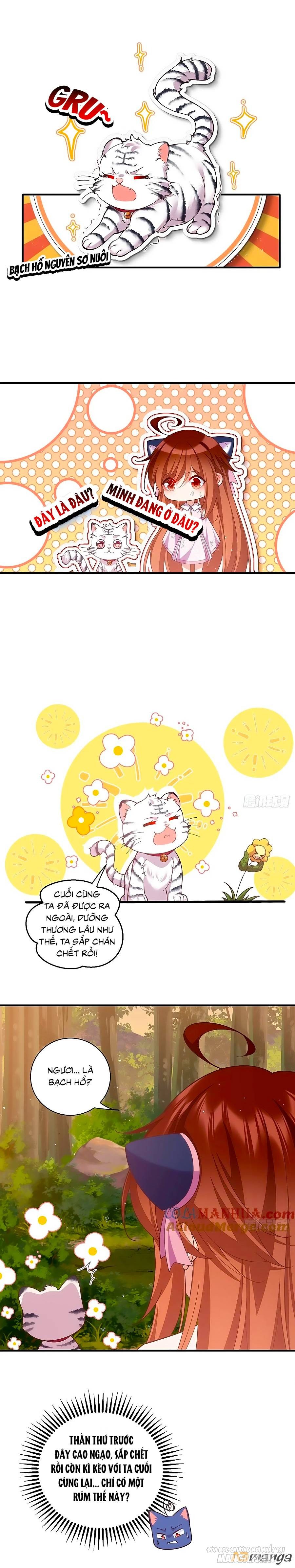 Manh Sư Tại Thượng Chapter 436 - Trang 2