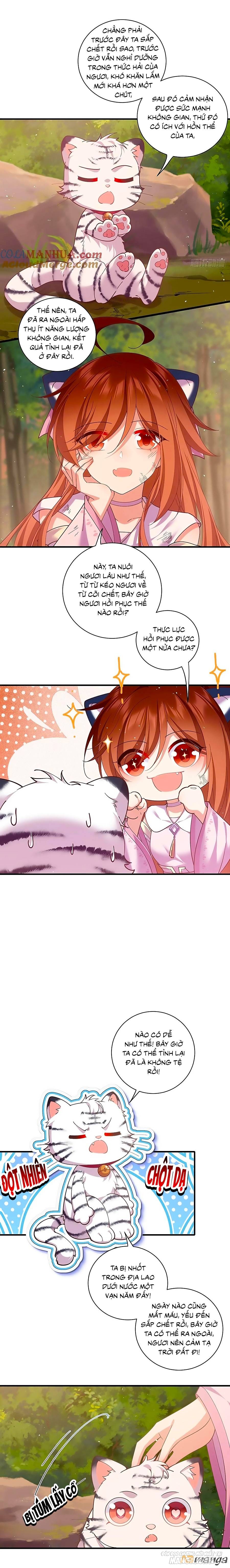 Manh Sư Tại Thượng Chapter 436 - Trang 2