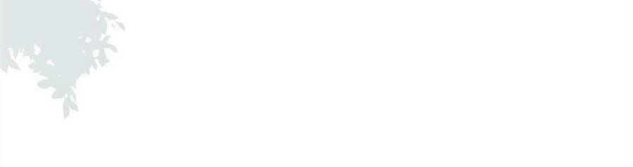 Manh Sư Tại Thượng Chapter 87 - Trang 2