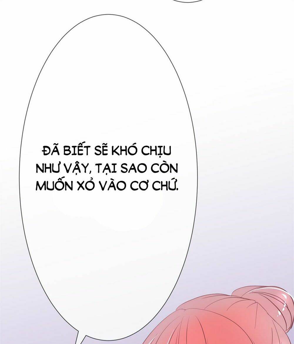 Manh Thê Khó Dỗ Chapter 11 - Trang 2