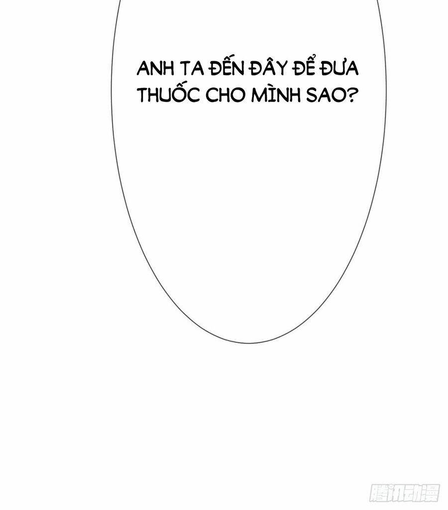 Manh Thê Khó Dỗ Chapter 12 - Trang 2