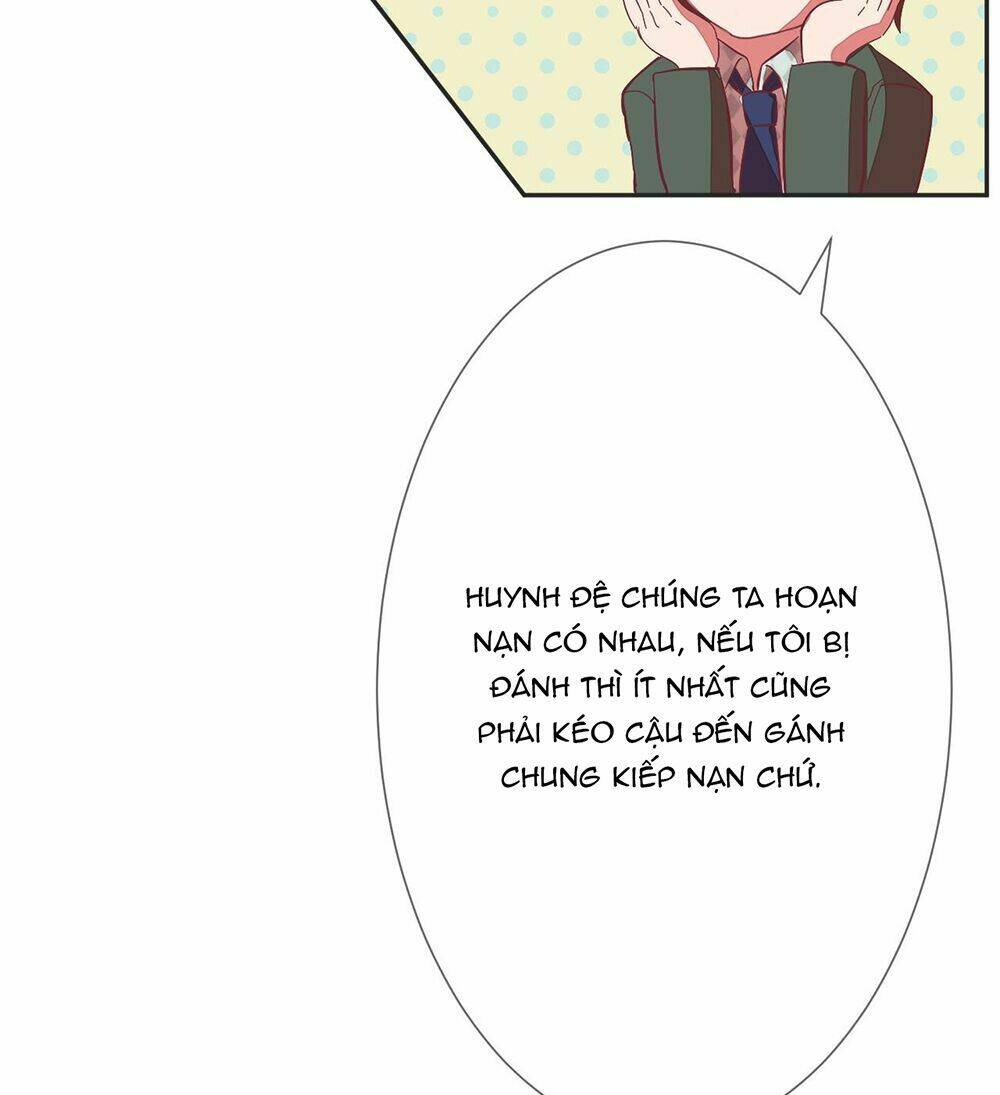 Manh Thê Khó Dỗ Chapter 14 - Trang 2