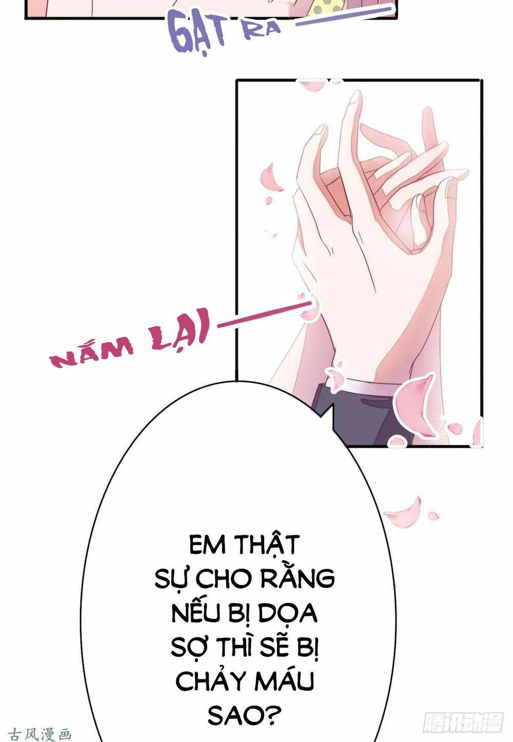 Manh Thê Khó Dỗ Chapter 24 - Trang 2