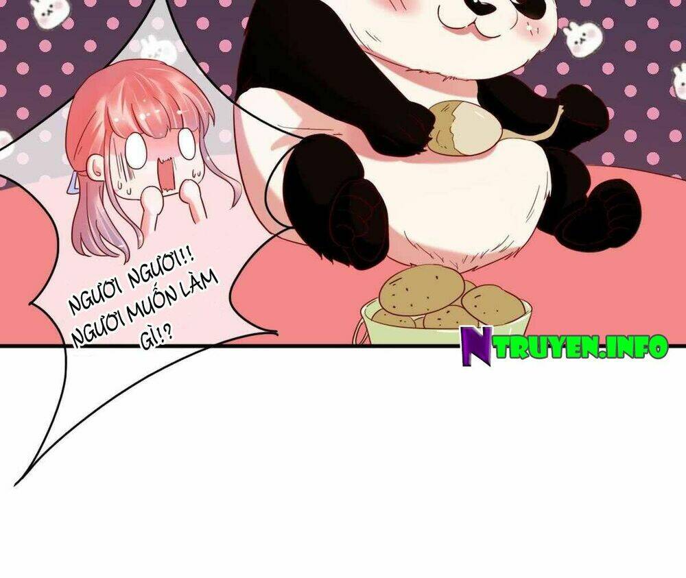 Manh Thê Khó Dỗ Chapter 32 - Trang 2