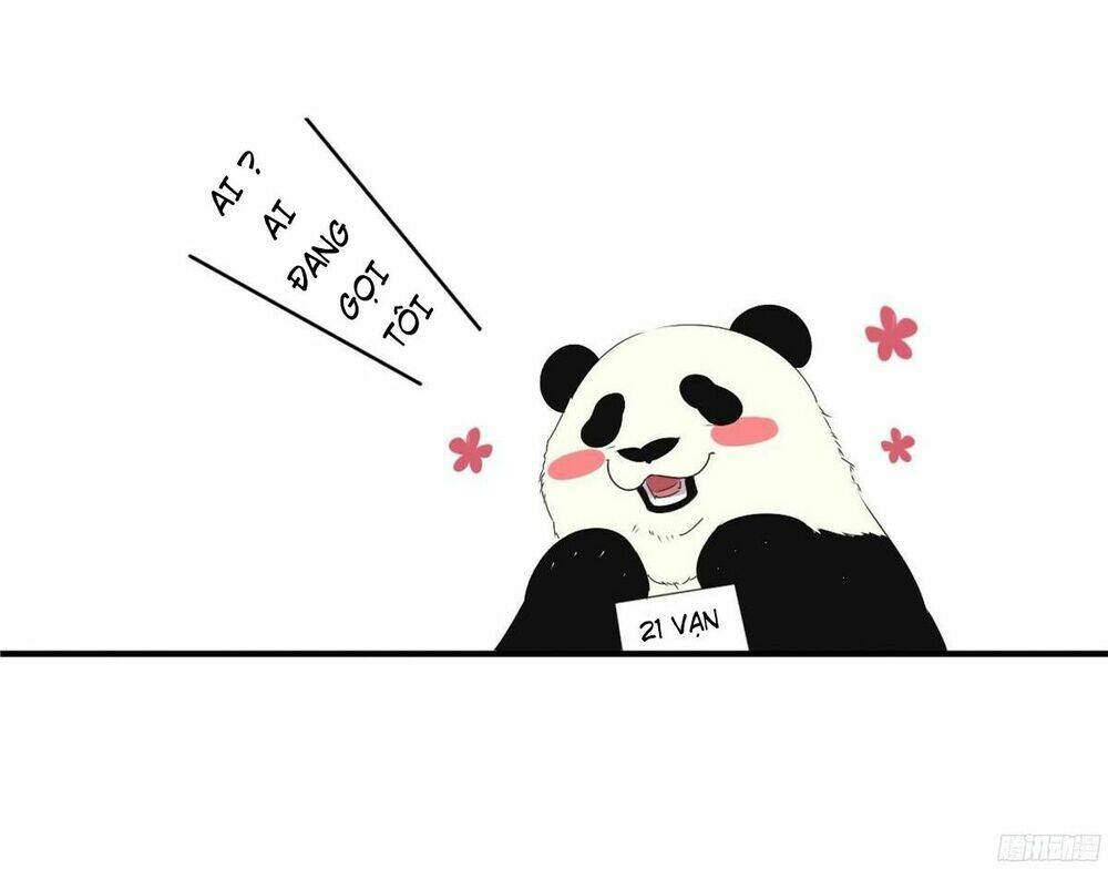 Manh Thê Khó Dỗ Chapter 4 - Trang 2