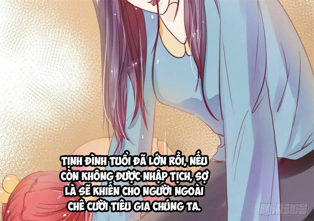 Manh Thê Khó Dỗ Chapter 6 - Trang 2