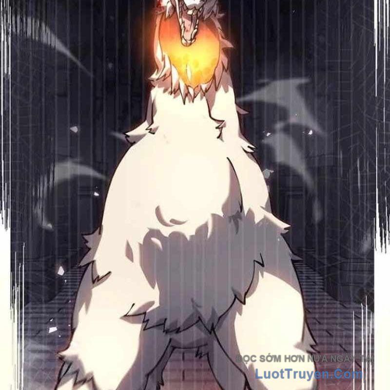 Mạo Hiểm Giả Carl Chapter 13 - Trang 2