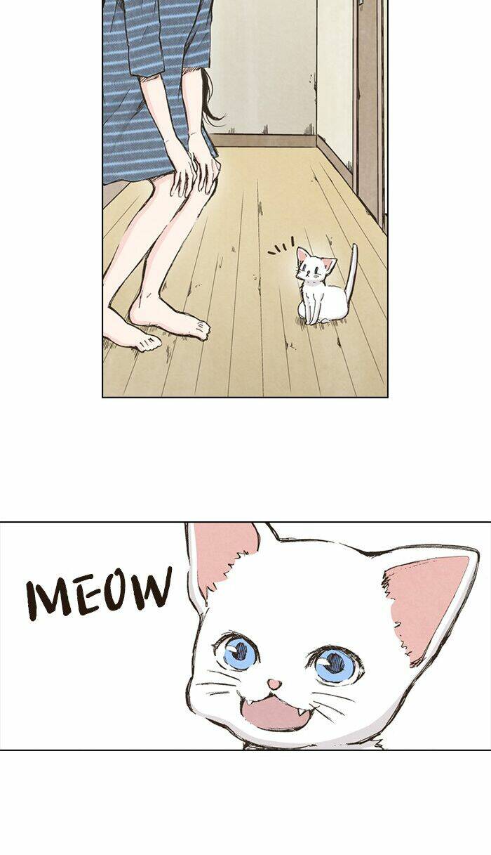 Marry Me! Chapter 43 - Trang 2