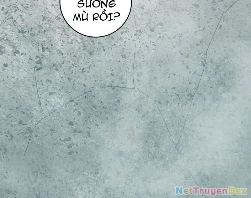 Mạt Nhật Thiên Hạ: Ta, Virus Quân Vương Chapter 48 - Trang 2