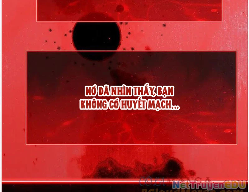 Mạt Nhật Thiên Hạ: Ta, Virus Quân Vương Chapter 52 - Trang 2