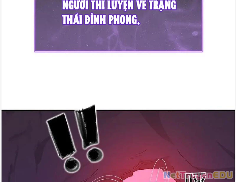 Mạt Nhật Thiên Hạ: Ta, Virus Quân Vương Chapter 52 - Trang 2