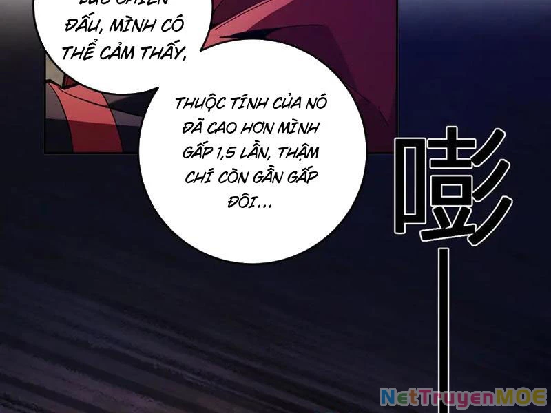 Mạt Nhật Thiên Hạ: Ta, Virus Quân Vương Chapter 56 - Trang 2