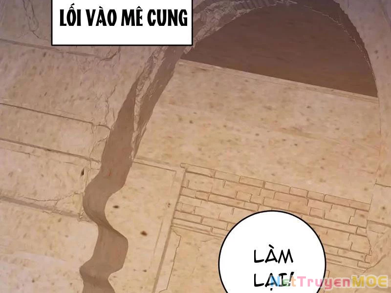 Mạt Nhật Thiên Hạ: Ta, Virus Quân Vương Chapter 56 - Trang 2