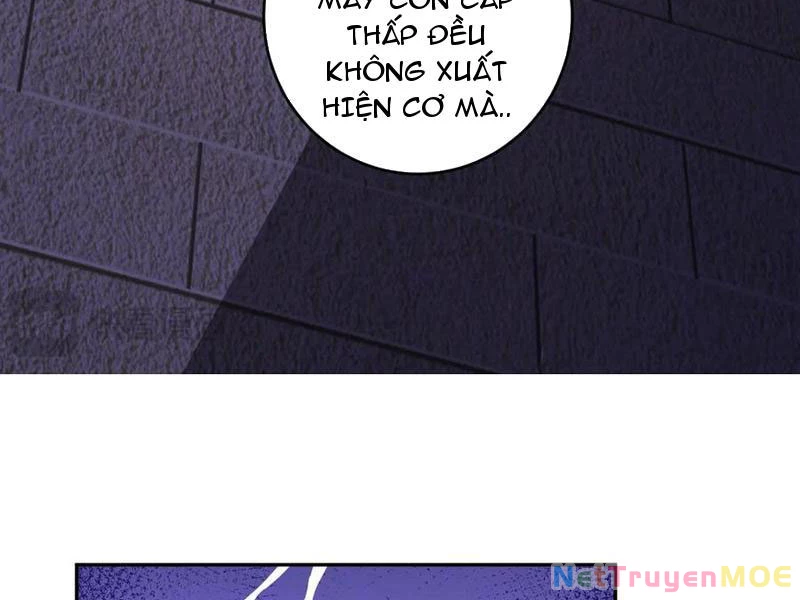 Mạt Nhật Thiên Hạ: Ta, Virus Quân Vương Chapter 56 - Trang 2