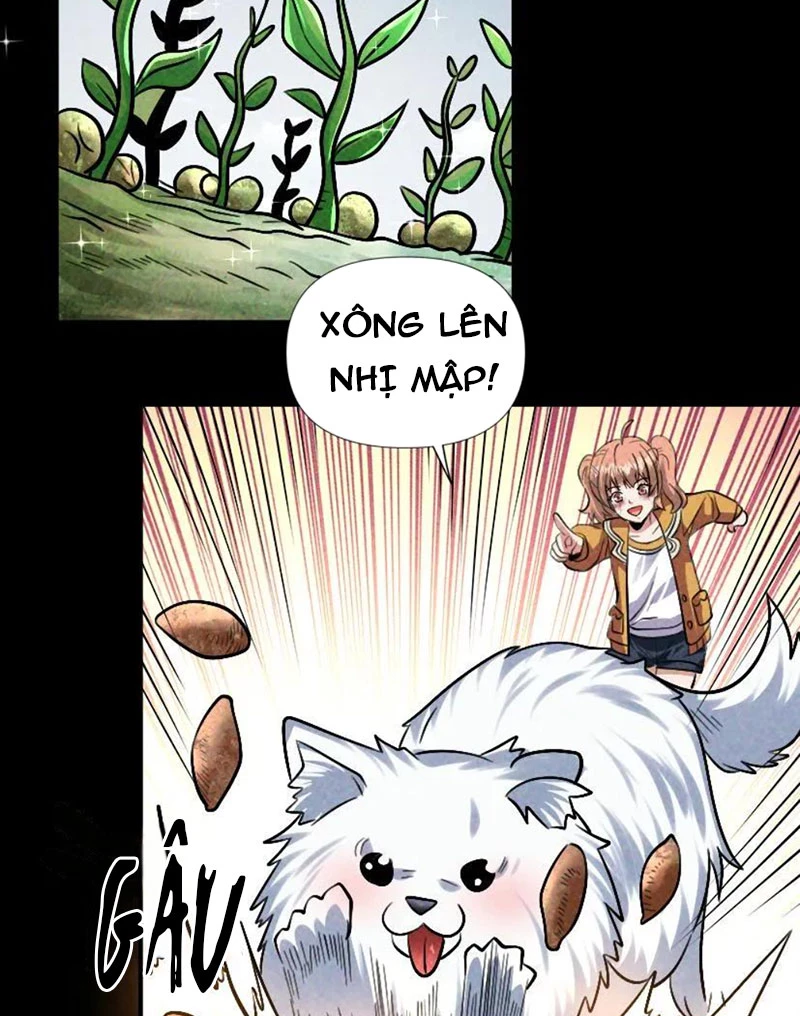 Mạt Thế Cầu Sinh: Ta Có Thể Nhìn Thấy Ẩn Tàng Hệ Thống Chapter 33 - Trang 2