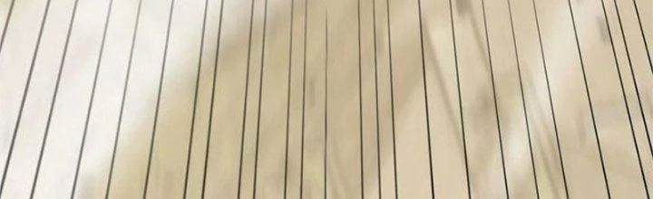 Mạt Thế Đạo Tặc Hành Chapter 115 - Trang 2